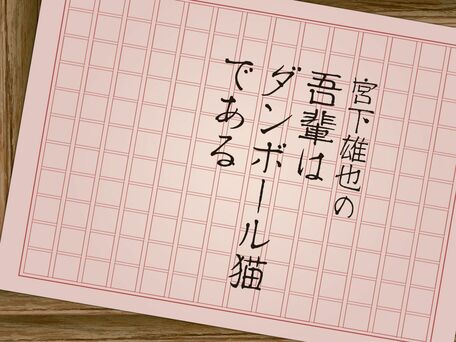 宮下雄也の「吾輩はダンボール猫である」