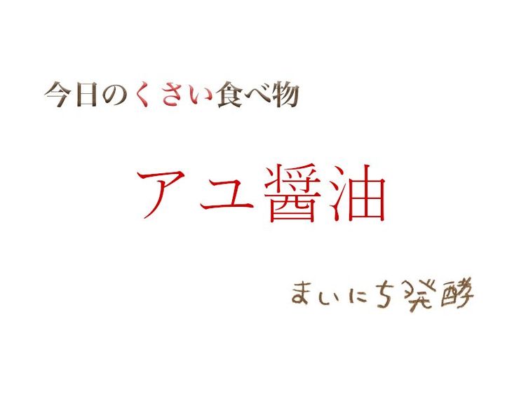 5月13日の発酵:アユ醤油