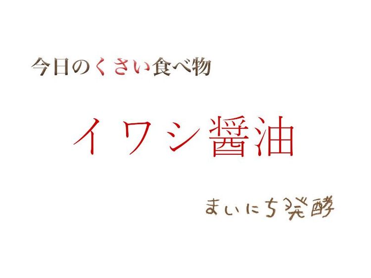 5月12日の発酵:イワシ醤油