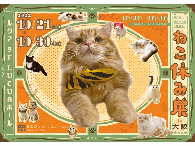 大阪で１年ぶりの開催となる「ねこ休み展」は、かわいいハロウィン仕様！
