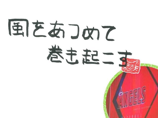 第36回　風のオオタニサン