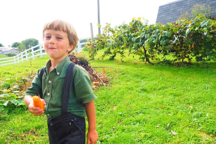 スマホの便利さを知ったうえで「アーミッシュ」となる子どもたち