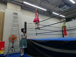 ▲アップアップガールズ(プロレス)のパフォーマンスを見て驚く山根涼羽