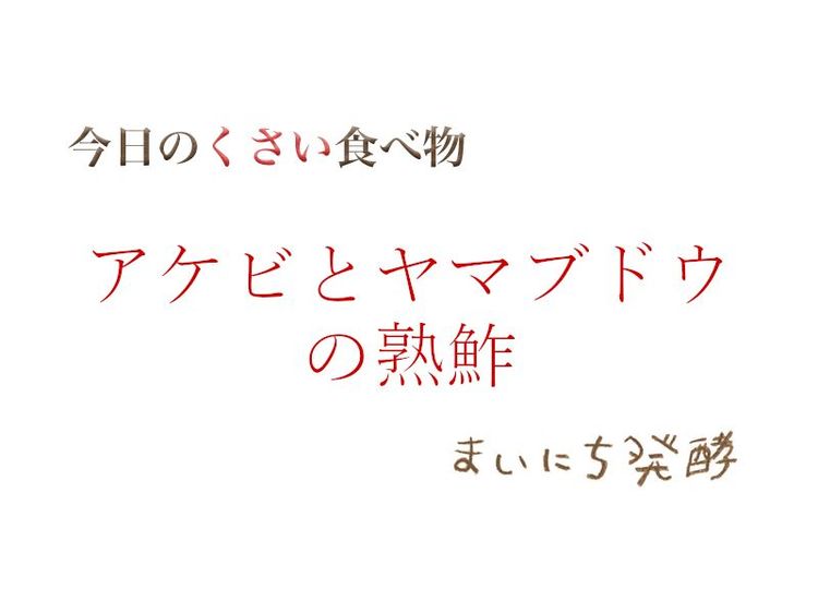 ６月７日の発酵：アケビとヤマブドウの熟鮓