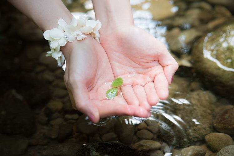 「葉っぱの瞑想」で執着を流して心をリセットする