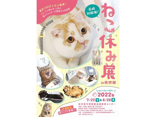 “ねこまみれ”の癒し空間！ 大人気「ねこ休み展」が7月22日から長崎で初開催！ 