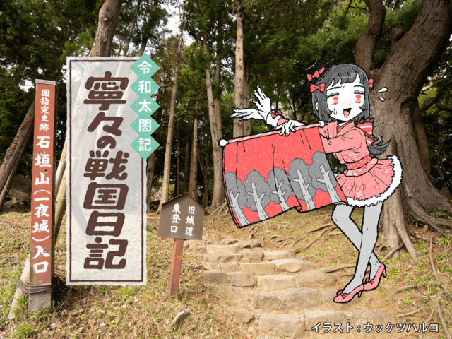 籠城した北条氏も驚愕!? 東国仕置きは秀吉のやりたい放題