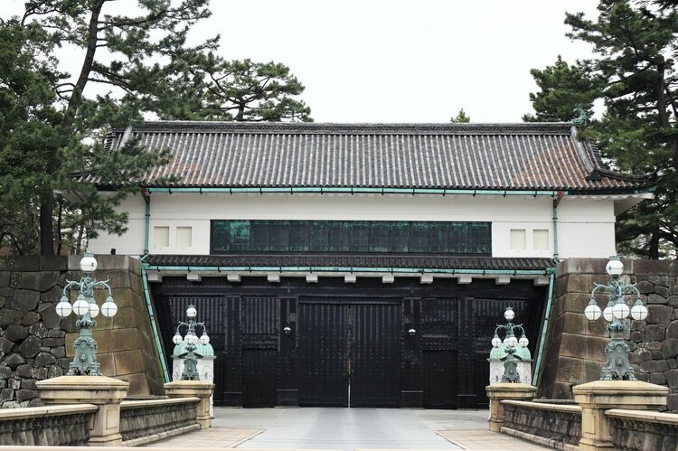 皇室の活動が忙しすぎる!? 皇統保持のための改善案