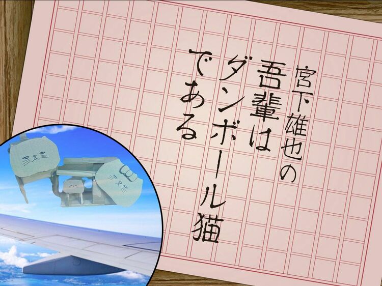 豪華共演者相手にダンボール猫をどう説明する?