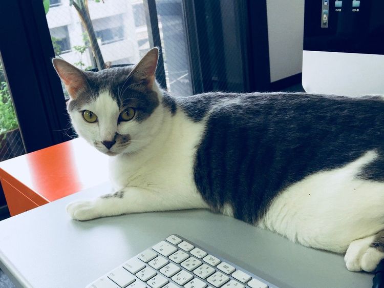 “会いたい存在”がいた。ベテランライターが出勤した理由