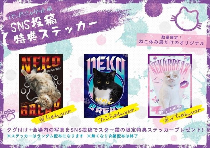 シーグラスアート ねこ耳お月様とテディねこ♪ シーグラス 月と猫 ムーン シーグラスアート ガラス 星の砂 貝殻