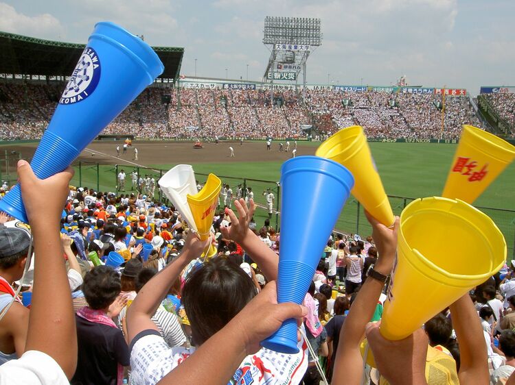 第89回全国高等学校野球選手権大会 - Wikipedia