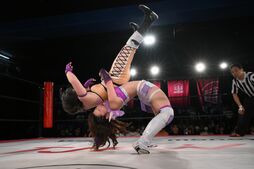 ▲試合を重ねるにつれて、感情を出して闘うことが楽しくなってきた