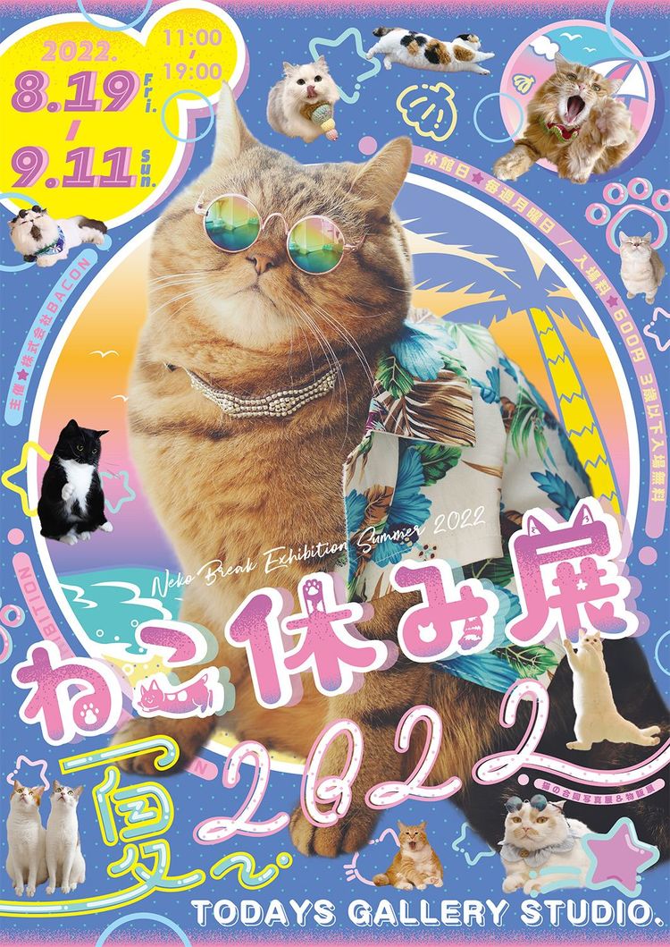 夏の思い出に！『ねこ休み展』夏の本祭が8月19日から東京で開催