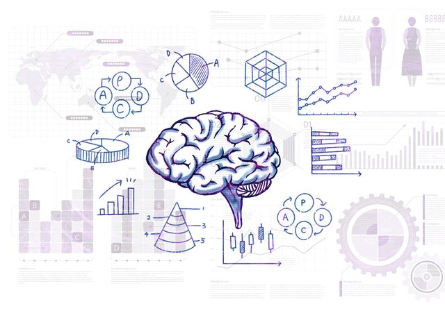 「シワが多いほど頭が良い」は嘘だった!? 脳のアレコレ