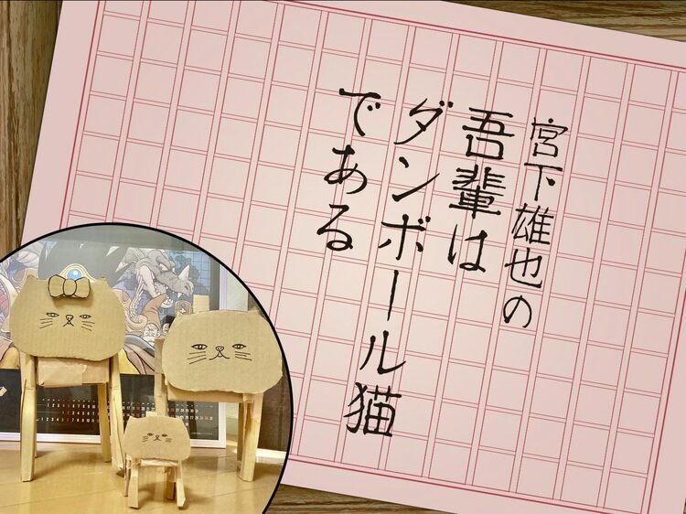 新しく家族になった子猫の名前