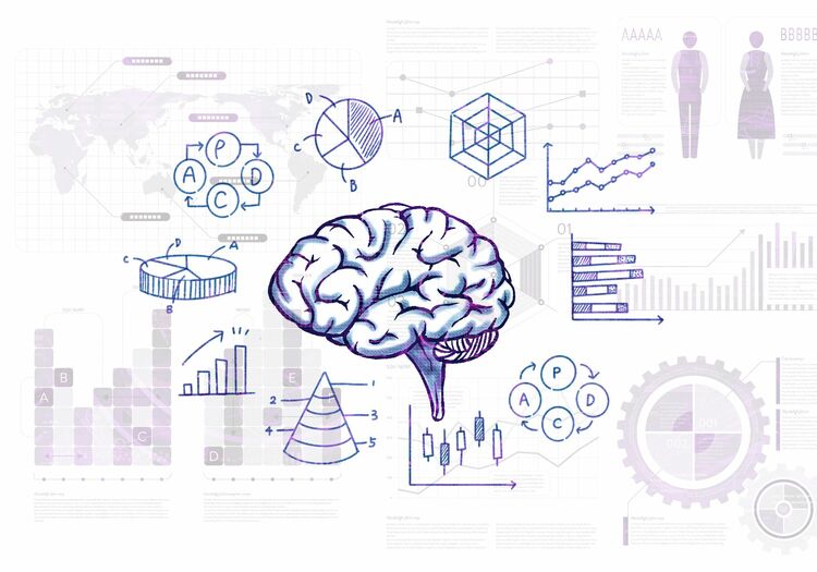 「シワが多いほど頭が良い」は嘘だった!? 脳のアレコレ