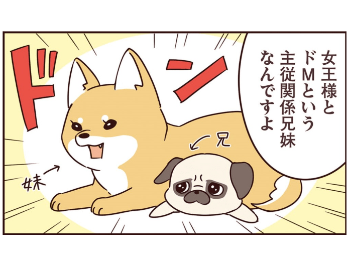 第０話(紹介編)