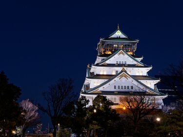 『どうする家康』豊臣秀頼が選んだ先の悲劇と落人狩の凄まじさ