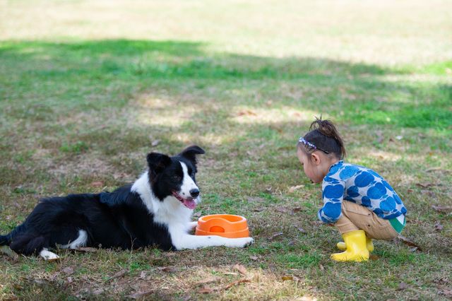「親切の法則」子どもたちに教えたい見返りを期待しない優しさ