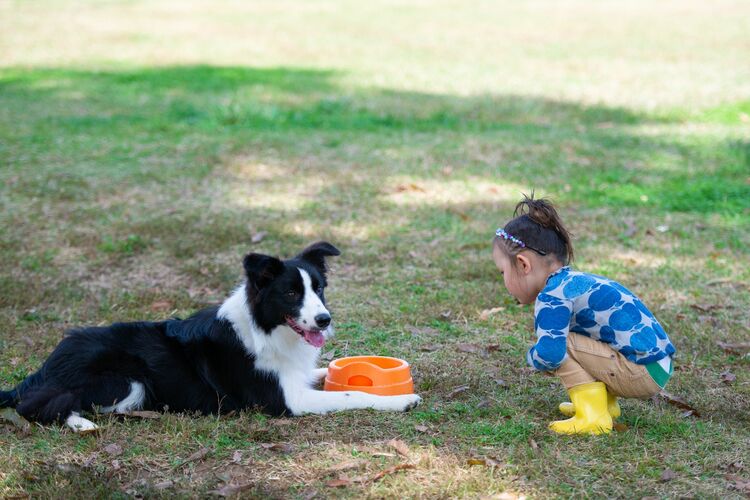 「親切の法則」子どもたちに教えたい見返りを期待しない優しさ