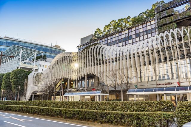 のどかな景勝地だった「二子玉川」を激変させた“怪物”の正体