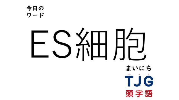 TJG 頭字語事典 3月28日のワード:ES細胞(イーエスさいぼう)