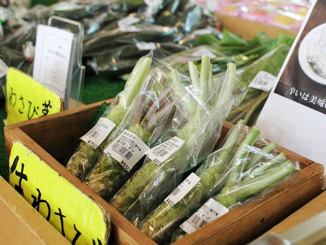 「ここすげぇ～」生わさびに唐辛子みそ…ジップスライドもある