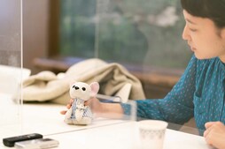 ▲「ぬいぐるみで不労所得を稼ぎたかったんですけど、私も現場についていかないといけないんですよね…」