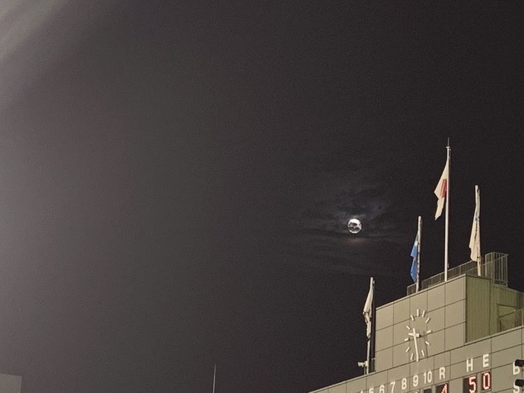 「月に向かって打て」多くの名場面をつくった大杉勝男さんの思い出