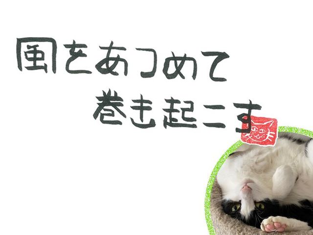 第30回　風の桜の木の下で