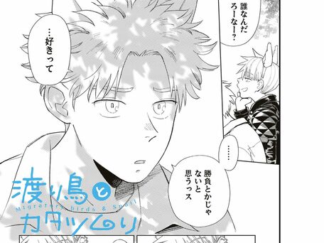 渡り鳥とカタツムリ