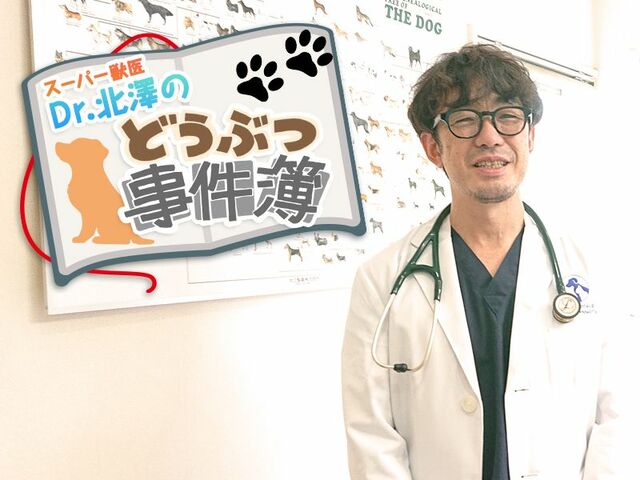 スーパー獣医 Dr.北澤のどうぶつ事件簿