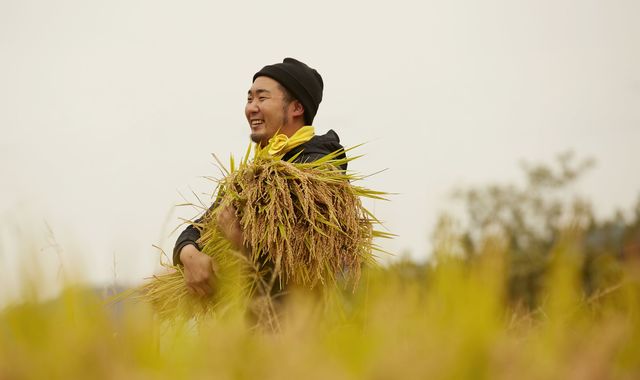 日本の農業を守る方法は国家戦略特区の積極的な再活用