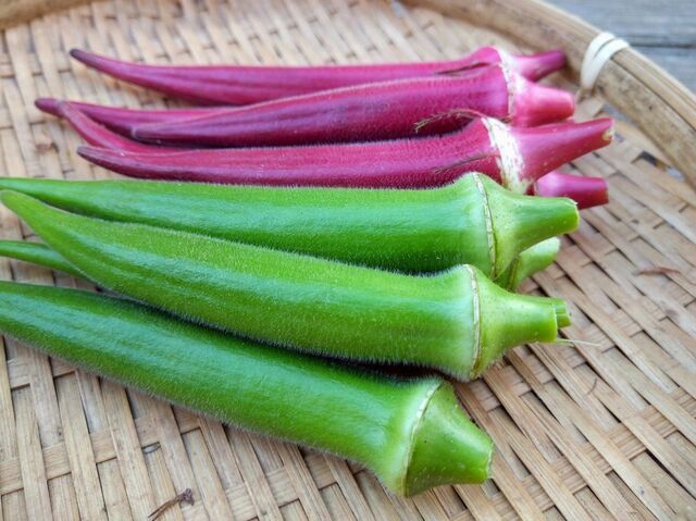 「オクラ＋はちみつ」でモヒート!?『満天☆青空レストラン』でタサン志麻のスゴ技炸裂