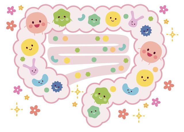太りにくい人の秘密は「腸内フローラ」にあった！