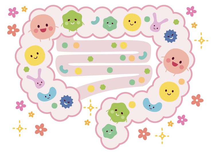 太りにくい人の秘密は「腸内フローラ」にあった！