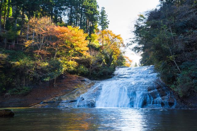 「養老渓谷」東京から“半日で帰って来られる”おすすめスポット