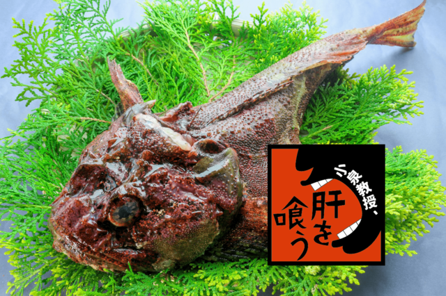 オコゼは見た目で損してる!? 美味な肝をもつコワモテ魚たち