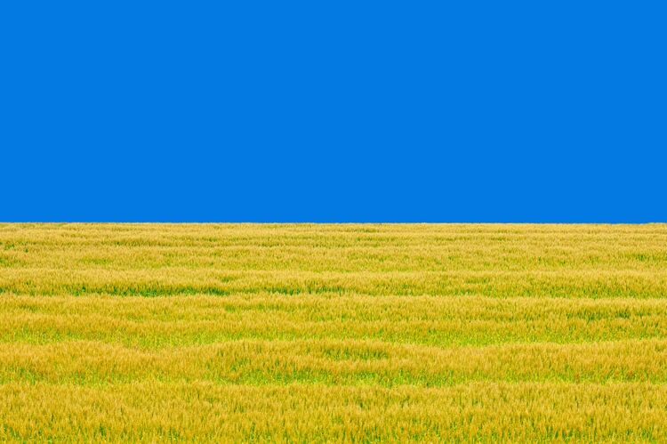 「1953年ノリリスク蜂起」に隠されたウクライナ人と日本人の絆