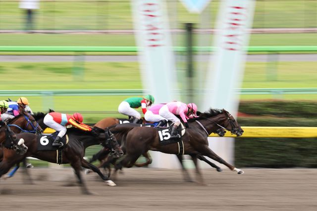 競馬や株にも当てはまる！ 損をしないための【行動心理】豆知識