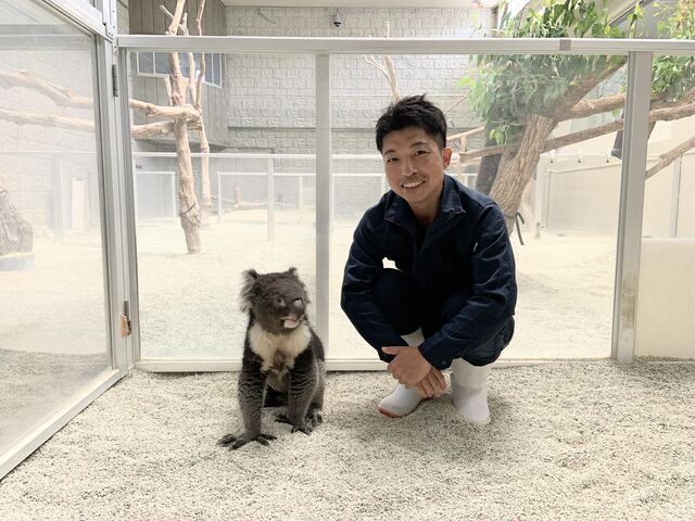 SNSでバズってる動物園に聞いた飼育員の仕事