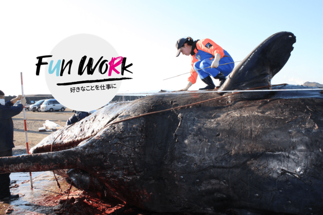 「クジラの淀ちゃんだけじゃない」海獣学者が明かす海の実態