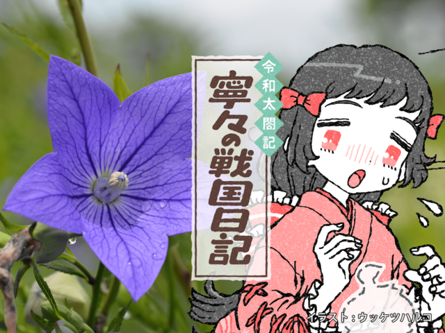 誰が信長を殺したのか？「本能寺の変」黒幕説の真偽