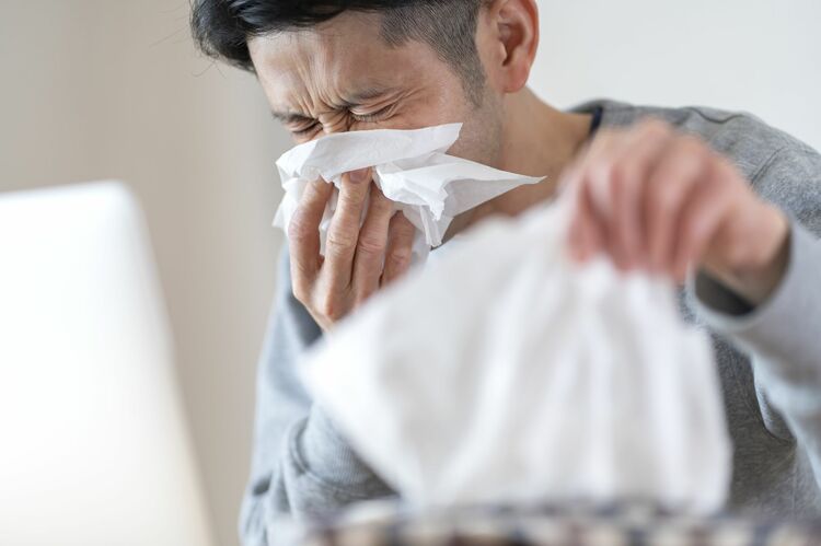 中医学による花粉症改善「脂っこいものをなるべく食べずに、よく寝て、深呼吸」