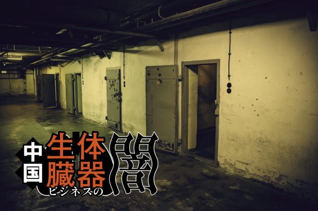 ウイグル人医師「政治犯は右胸を撃たれ、臓器は官僚に移植された」