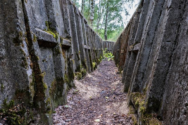 舞台は「塹壕」。第一次世界大戦終結100年を記念した映画２選