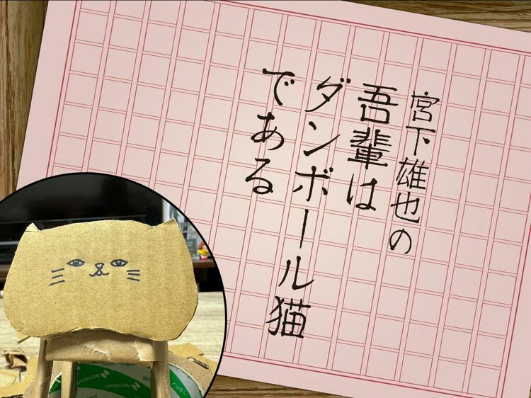 里子に出たダンボール猫と数万人の前で頭真っ白の宮下雄也