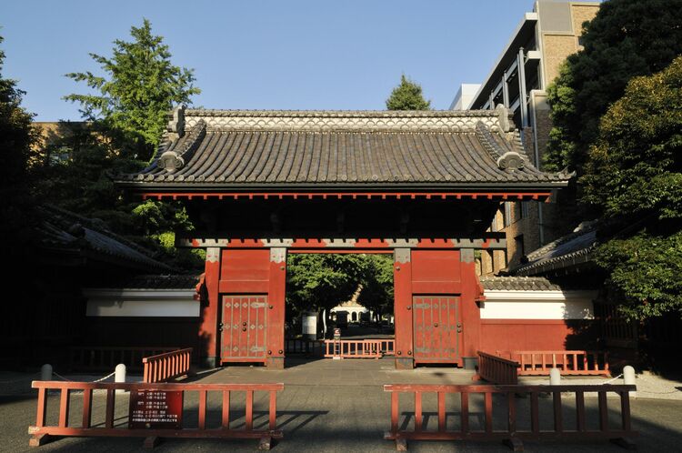 「教育無償化」の功罪。真の学問のためにもお金の話をしよう