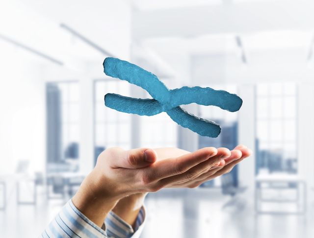 「テロメア」人生100年時代に健康寿命を延ばすためのカギ